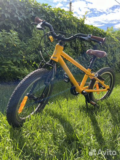 Shulz bubble 16 race