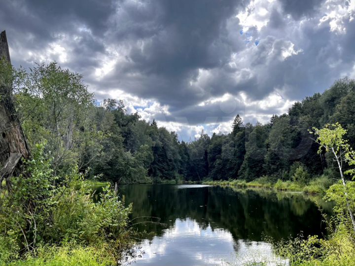 Участок 10 сот. (ИЖС)