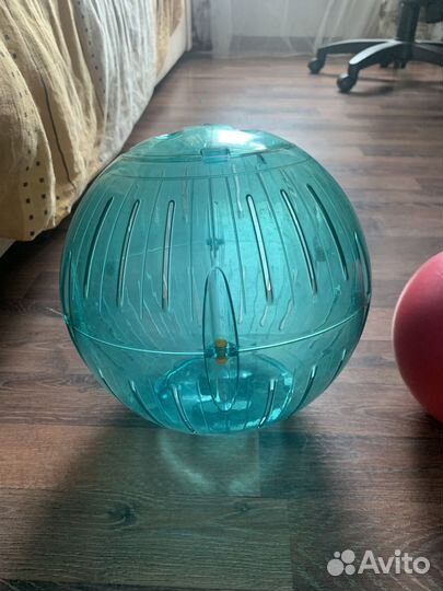 Шар для грызунов