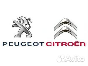 153141 Прокладка топливного насоса