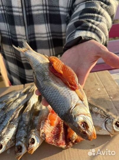 Вобла вяленая