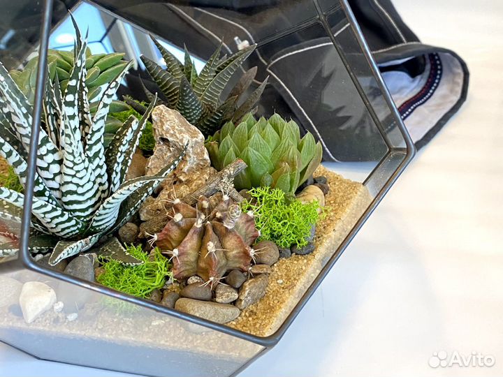 Флорариум на заказ