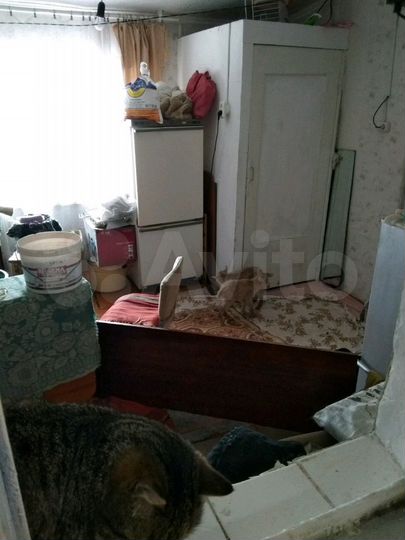 Дом 60 м² на участке 12 сот.