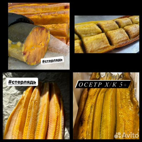 Северная рыба