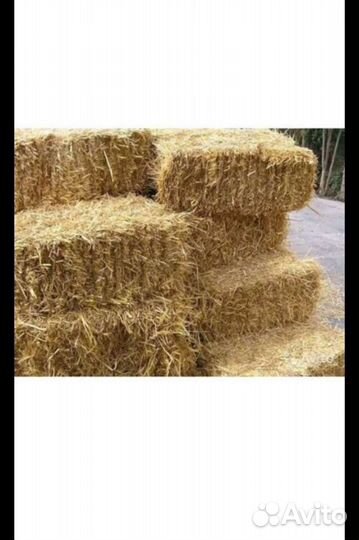 Сено солома в тюках
