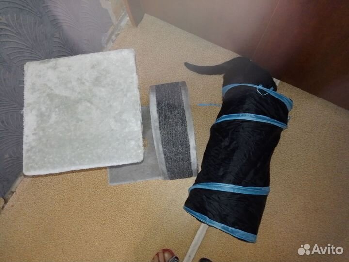 Когтеточка домик для кошки и тунель