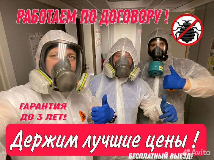 Дезинфекция