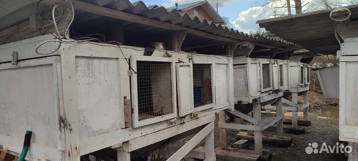 Клетки для кроликов