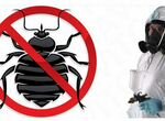 Уничтожение тараканов в Сочи и области