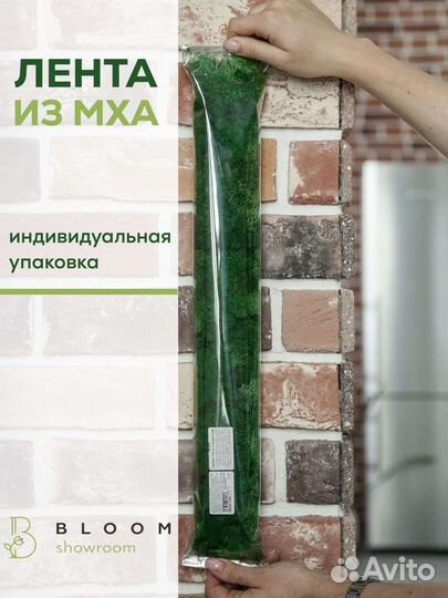 Мох для декора кирпичной стены