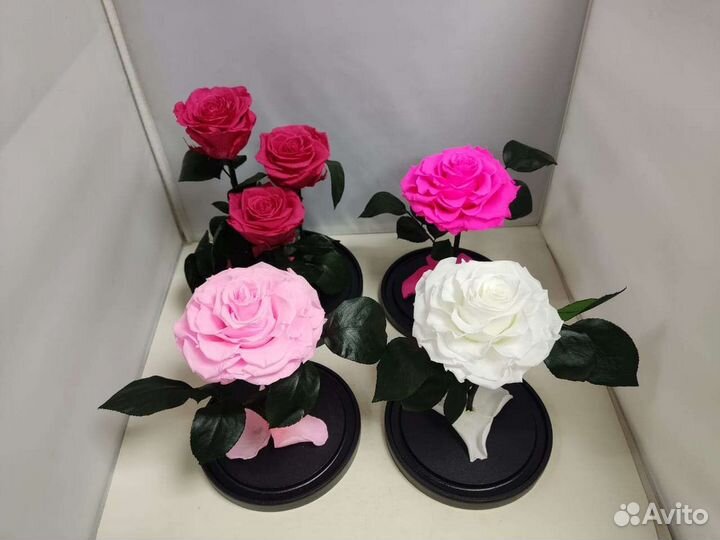 Цветы оптом