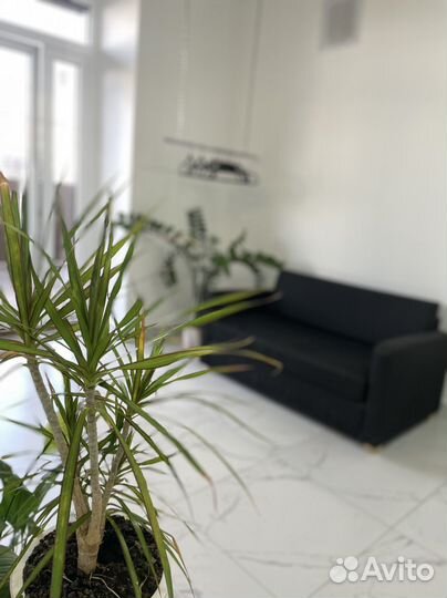 Аренда кабинета