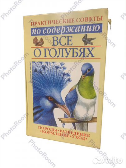 Все о голубях
