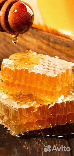 Мёд