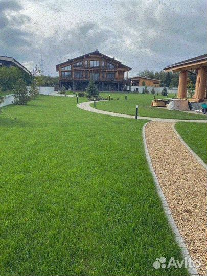 Укладка рулонного газона стандарт