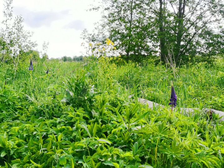 Участок 8,7 га (СНТ, ДНП)