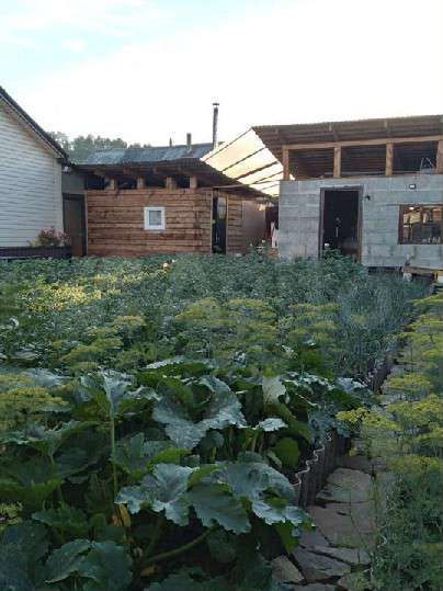 Дом 58 м² на участке 5 сот.