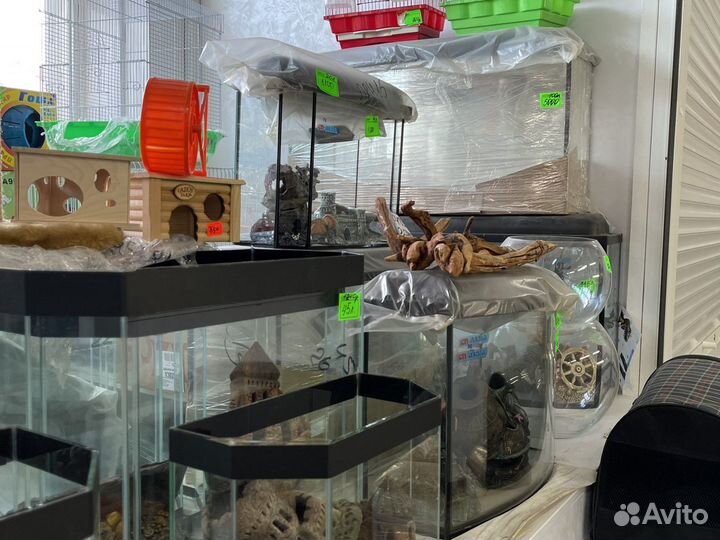 Аквариум, террариум,новый