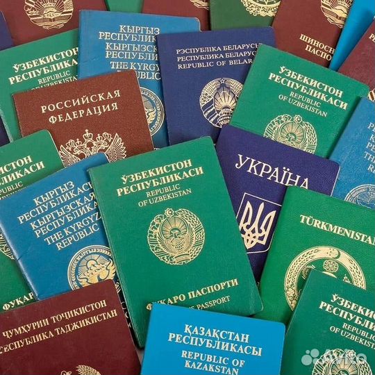 Срочный перевод документов