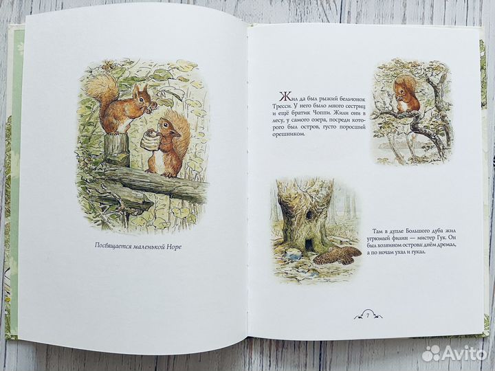 Бельчонок Тресси и его друзья