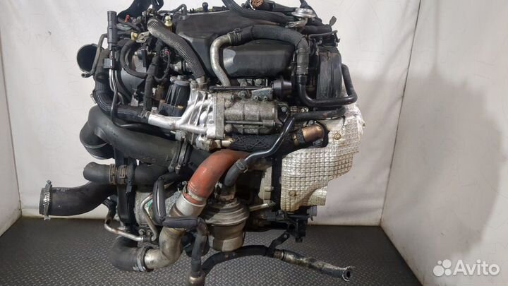 Двигатель Jaguar XF 2007–2012 AJV6D 3 Дизель, 2009