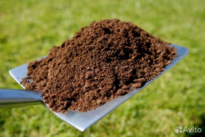Торф низинный