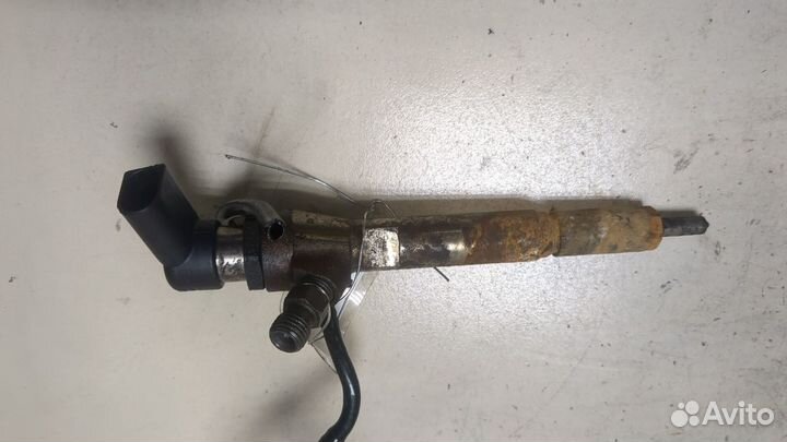 Форсунка топливная Renault Scenic, 2010