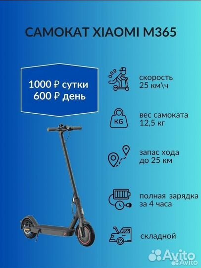 Аренда электросамоката