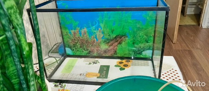 Аквариум