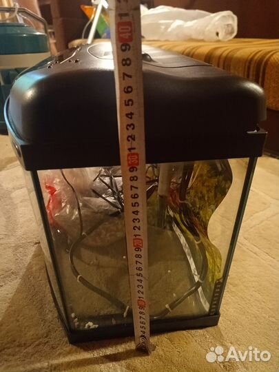 Аквариум pearl