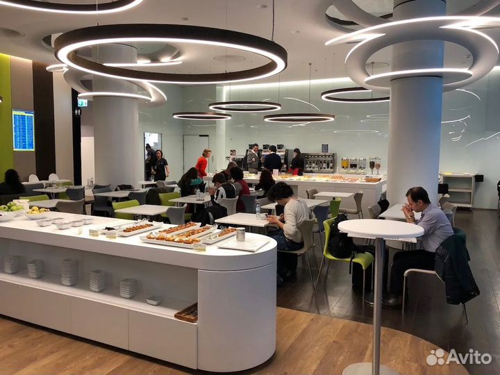 Проход в Бизнес зал Домодедово