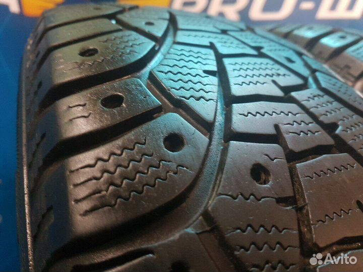 Matador MP 51 Sibir 2 195/65 R15