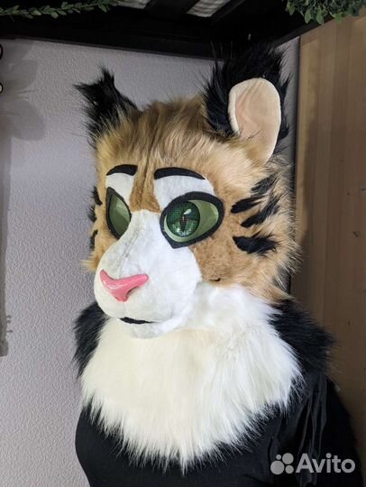 Фурсьют кота, тигра