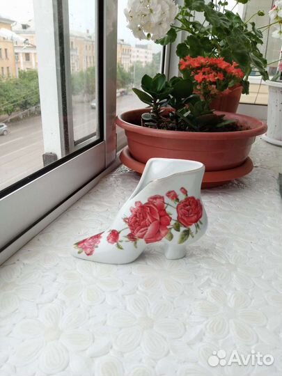 Сапожок