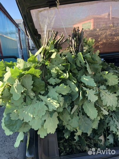 Веники для бани и сауны много