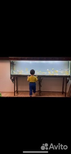 Аквариум 380л