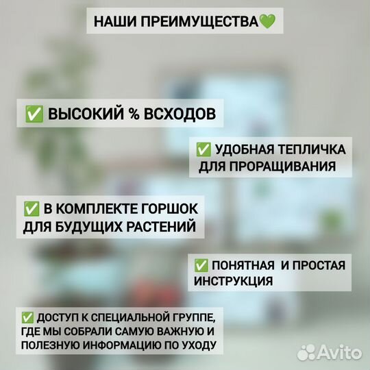 Набор для выращивания растений