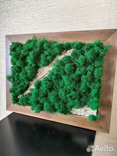 Картина из стабилизированного мха