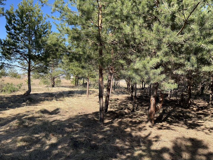 Участок 24 сот. (ИЖС)