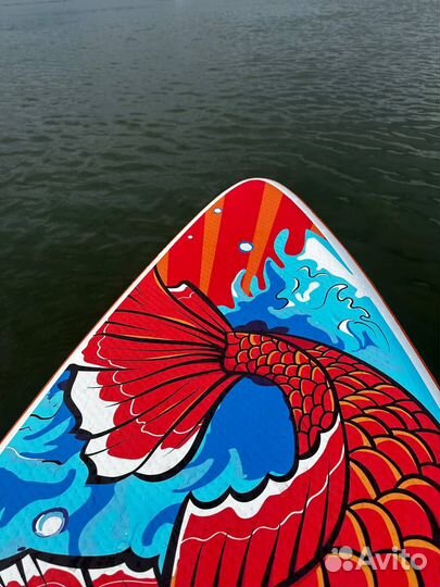 Supboard koi