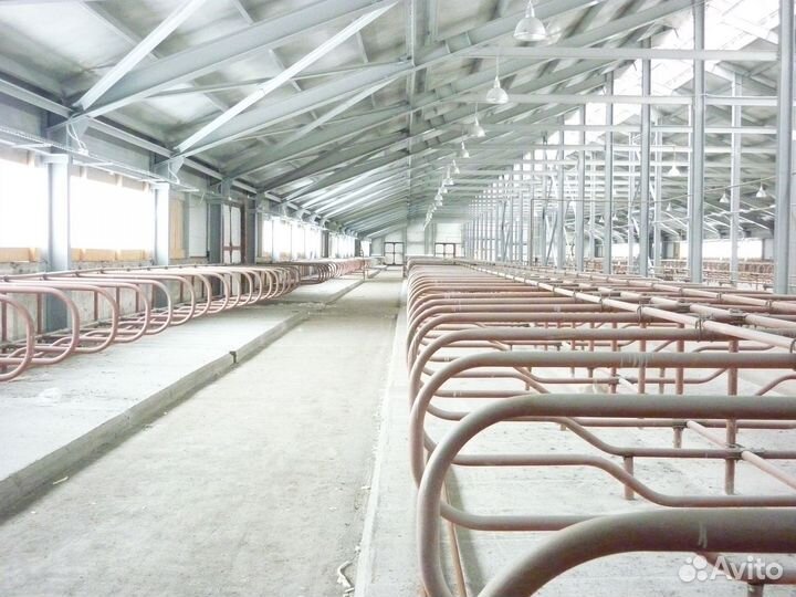 Боксы для беспривязи