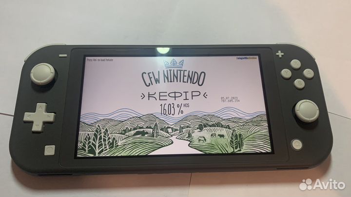 Nintendo switch lite прошитая