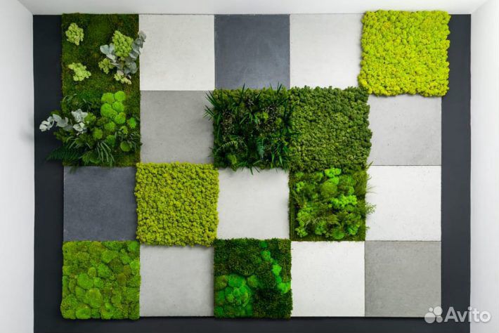 Плитка из стабилизированного мха