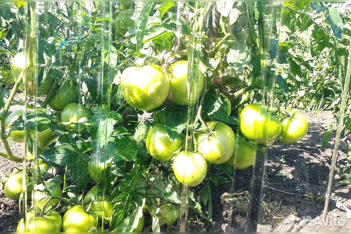 Монолитный поликарбонат оргстекло акрил