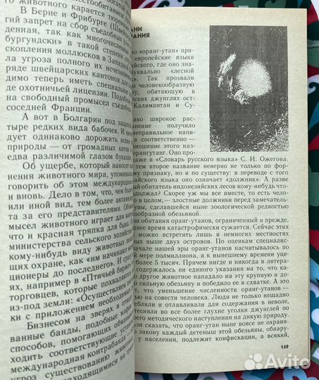 «Братья меньшие» вчера и сегодня / Краснопевцев