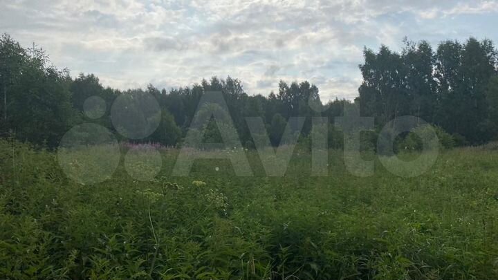 Участок 24 сот. (ИЖС)