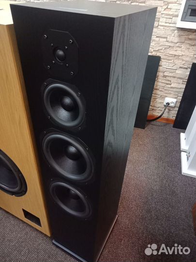 Акустика, последние витринные пары