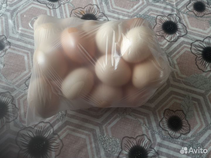 Домашние куриные яйца