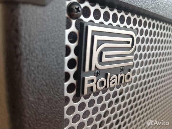 Комбоусилитель Roland Cube 20XL cosm