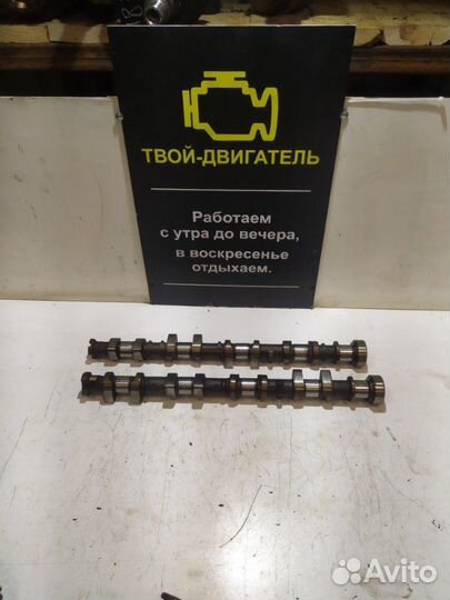 Распредвал Ford Focus eydc